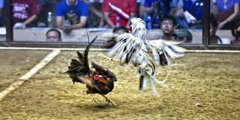 w88 ﻿đăng nhập lô đề uy tín