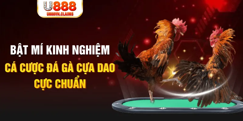 w88 đăng nhập roulette 2024