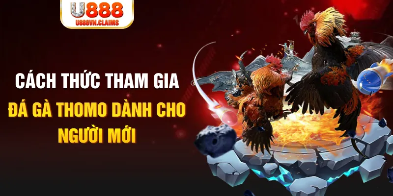 w88 cá cược thể thao trực tuyến kto