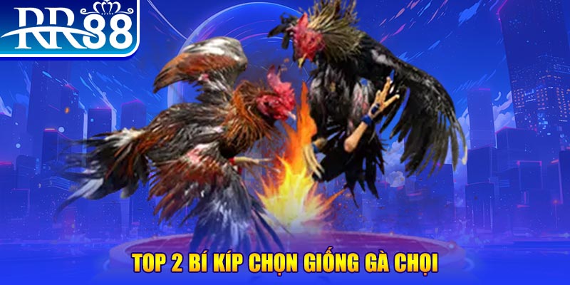 w88 xổ số kiến thiết miền trung hôm nay
