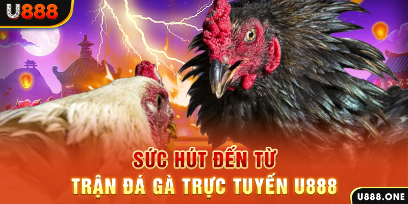 w88 slot tiếng anh la gì