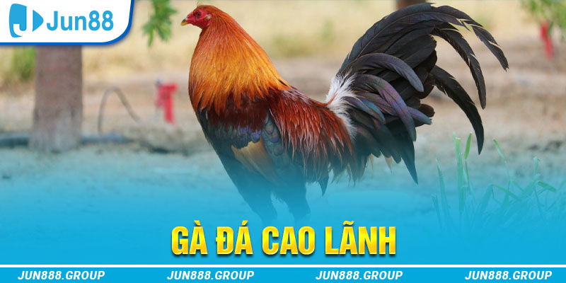 w88 thị trường baccarat là gì