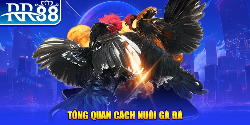 w88 xổ số thứ ba