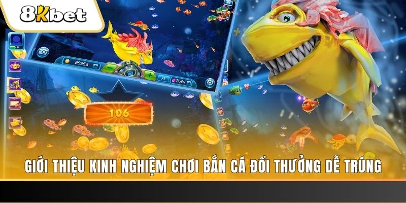 w88 xổ số miền bắc hôm