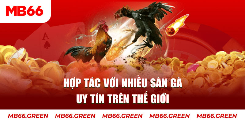 w88 BNG Điện Tử