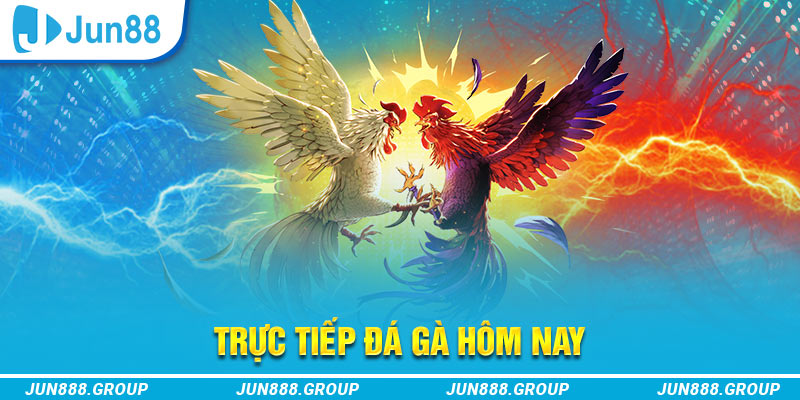 w88 trực tiếp đá gà thomo