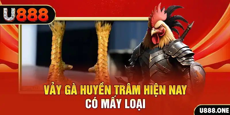 w88 đăng nhập roulette uy tín