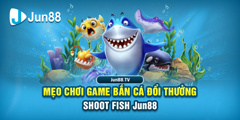 w88 IM Thể Th