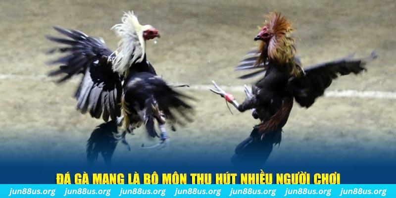 w88 xổ số long an