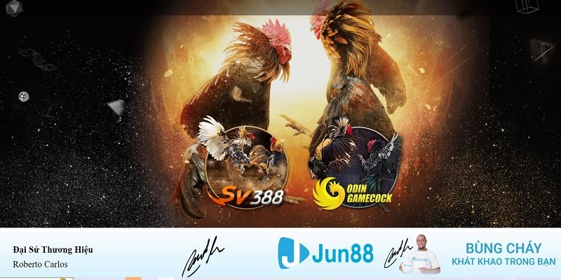w88 CQ9 Điện Tử