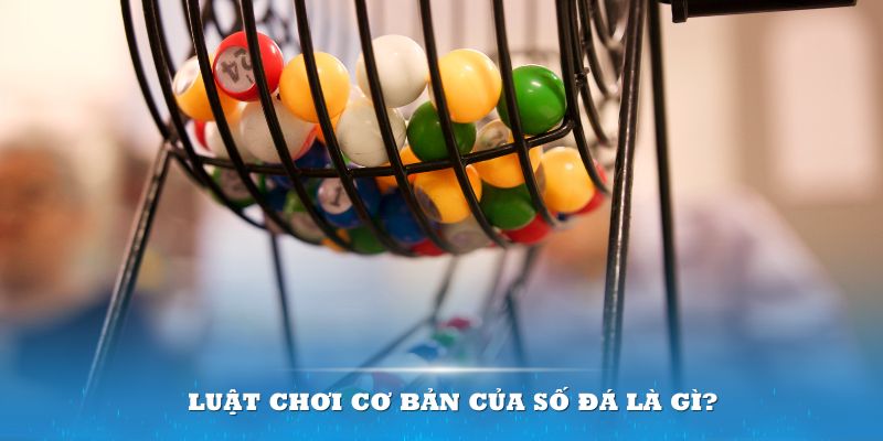 w88 Đĩa màu ace