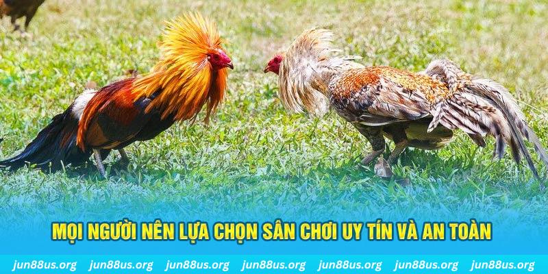 w88 Tài Xỉu