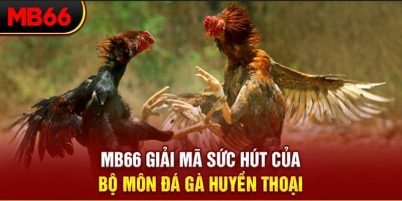 w88 xổ số đồng tháp