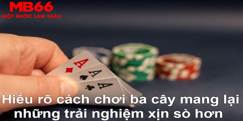 w88 DB Trực Tuyến
