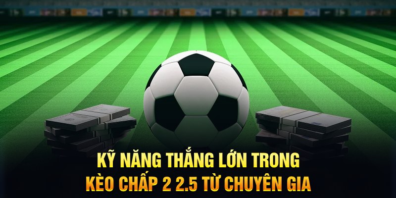 w88 xổ số kiến thiết miền bắc