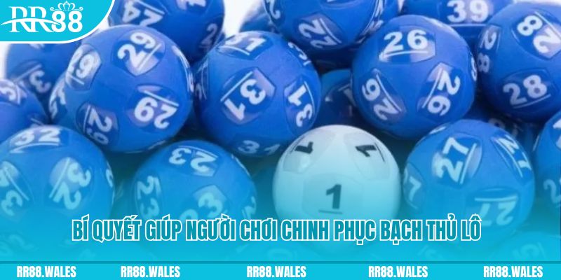 w88 xổ số miền bắc chủ nhật hàng tuần
