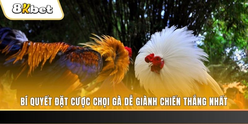 w88 đăng nhập lô đề hàng đầu
