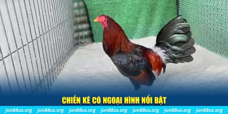 w88 nhạc slot là gì
