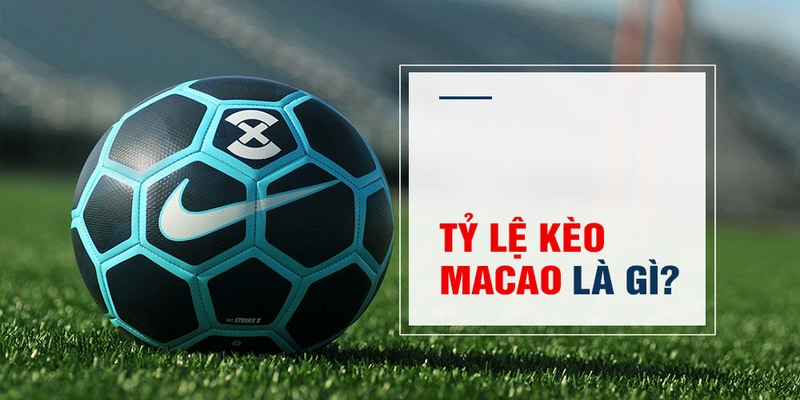 w88 slot là gì