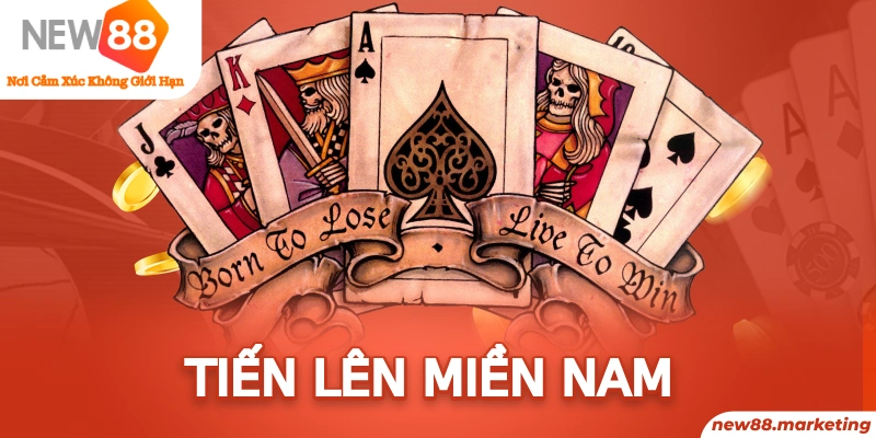 w88 esport là gì